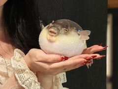 -永安鱼庄·镇江菜(东吴路店)