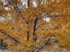 -腾爱熊猫咖啡生活馆(老东门店)