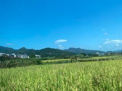 -楠溪江风景名胜区