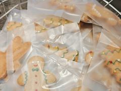 -TD66高山铁皮石斛养生茶饮
