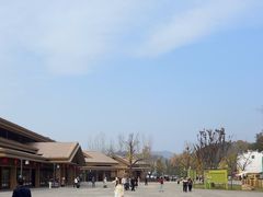 -千年银杏谷文化旅游区