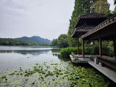 -茅家埠