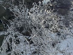 -崂山巨峰游览区