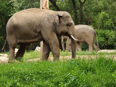 -北京野生动物园