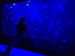 -暹罗海洋世界