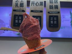 杨梅冰淇淋-野人先生现做冰淇淋(北京环宇荟店)