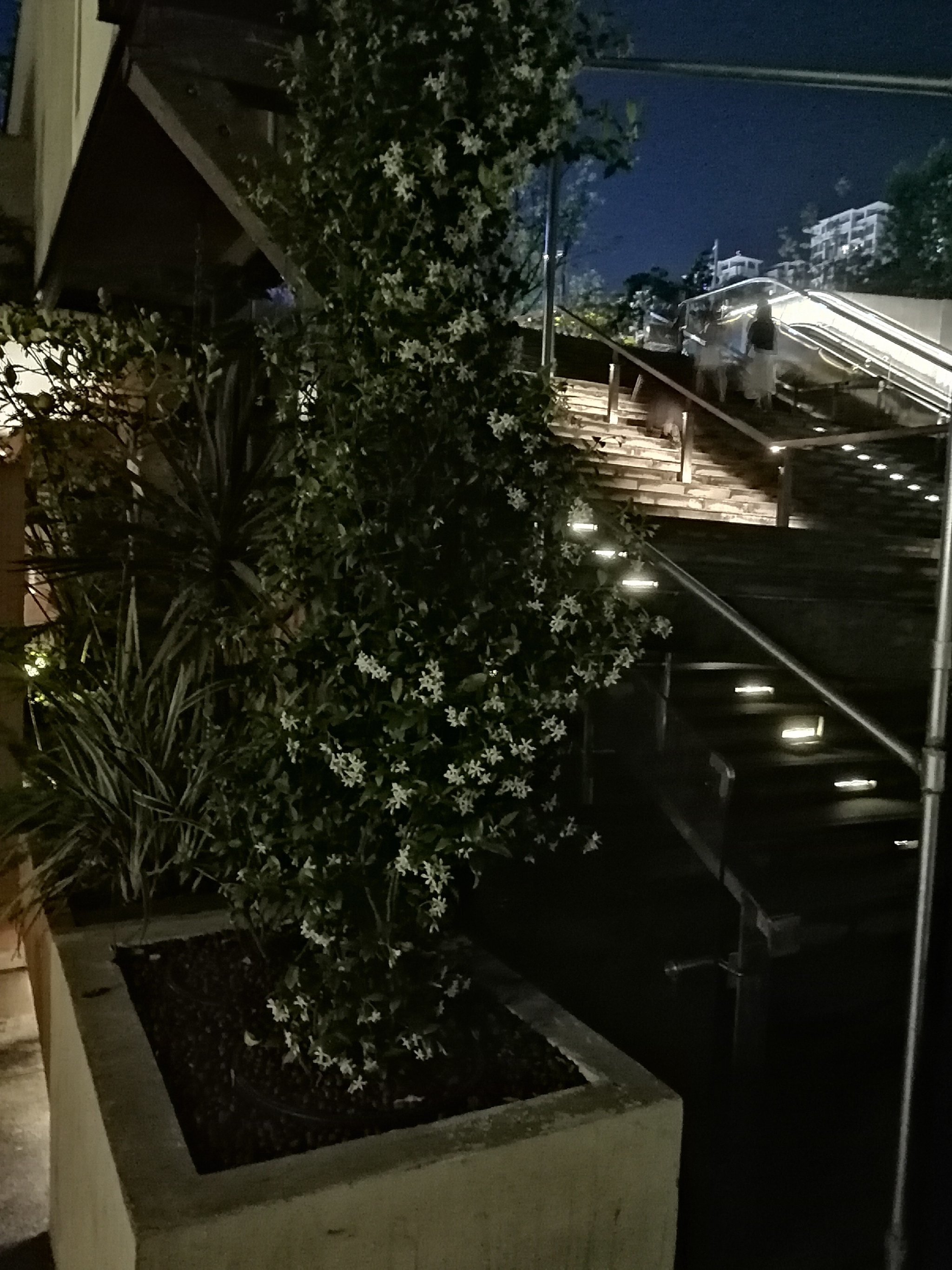 夏夜城市惬意好逛处/大源公园下沉广场