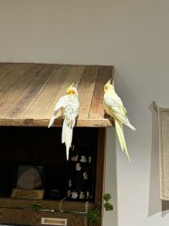 -Zoolung Zoolung动物主题公园(海信广场店)