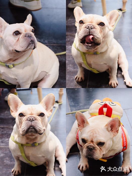 富贵面包公司(运河店)图片