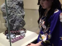 -黄金博物馆