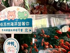 -苏州海洋馆