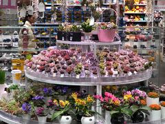 -KKV(深圳kk one 店)