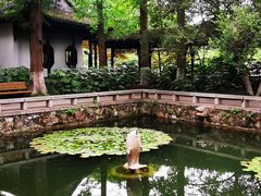 -红梅公园