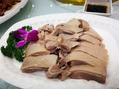白切马冈鹅-鹅城