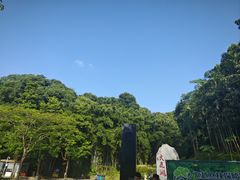 -天鹿湖森林公园