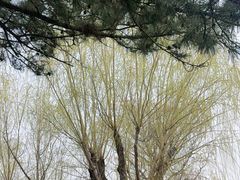 -艾山风景名胜区