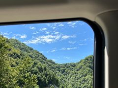 -狮子沟牧场
