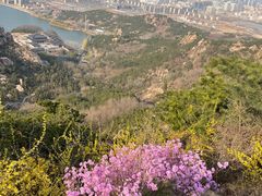 -青岛大珠山景区