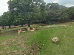 -西安秦岭野生动物园