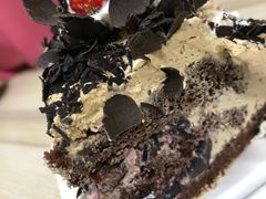 黑森林-维尔纳斯·生日蛋糕动物奶油冰淇淋蛋糕(人大店)
