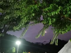 -武汉姚家山旅游景区