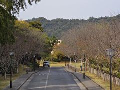 -浙江大学(玉泉校区)