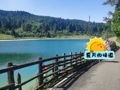 -武陵山森林公园