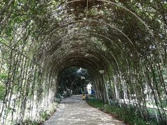 -天河儿童公园