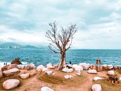 -海南分界洲岛旅游区