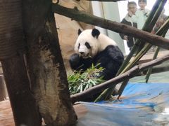 -成都动物园