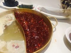-杨家火锅(国美店)