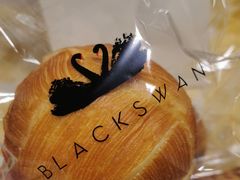 -BLACKSWAN黑天鹅(环球店)