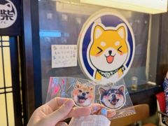 -逗柴咖啡屋·狗咖猫咖宠物桌游
