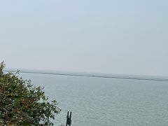 -贡湖湾湿地公园