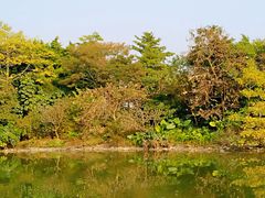 -海珠湖公园