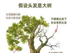 -中国农业大学(西校区)