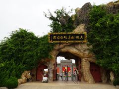 -大槐树寻根祭祖园