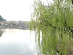 -石湖景区
