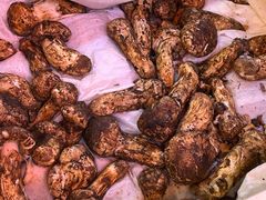 -阿山卓·野生菌火锅·纳西火塘烤肉