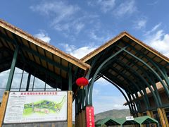 -亚龙湾国际玫瑰谷