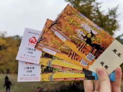 -千年银杏谷文化旅游区