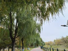 -黛秀湖公园