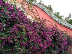 -天竺岩寺