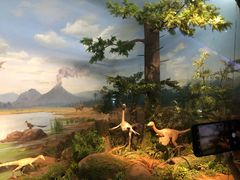 -贝林大翅鲸简餐厅(国家海洋博物馆店)