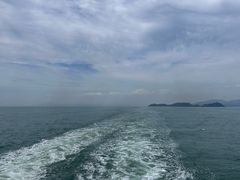 -招商蛇口邮轮母港(观光客运)