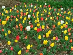 -公益图书馆(江南大学店)