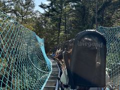 -沂蒙山旅游区云蒙景区(蒙山国家森林公园)