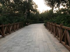 -燕郊植物园