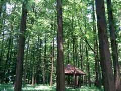 -UME影城(西城广场店)