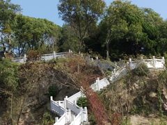 -上海市保健医疗中心(华东疗养院)